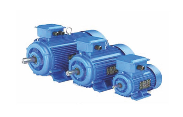  Koyo Electric Motors