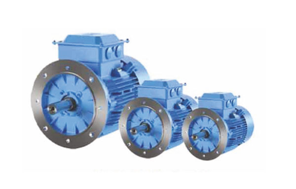 Flange Motors